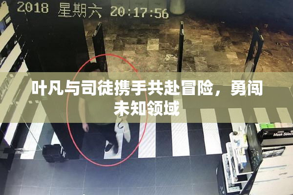 叶凡与司徒携手共赴冒险，勇闯未知领域