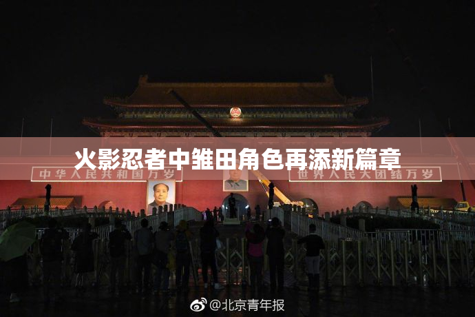 火影忍者中雏田角色再添新篇章