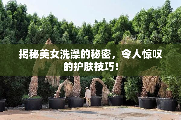揭秘美女洗澡的秘密，令人惊叹的护肤技巧！