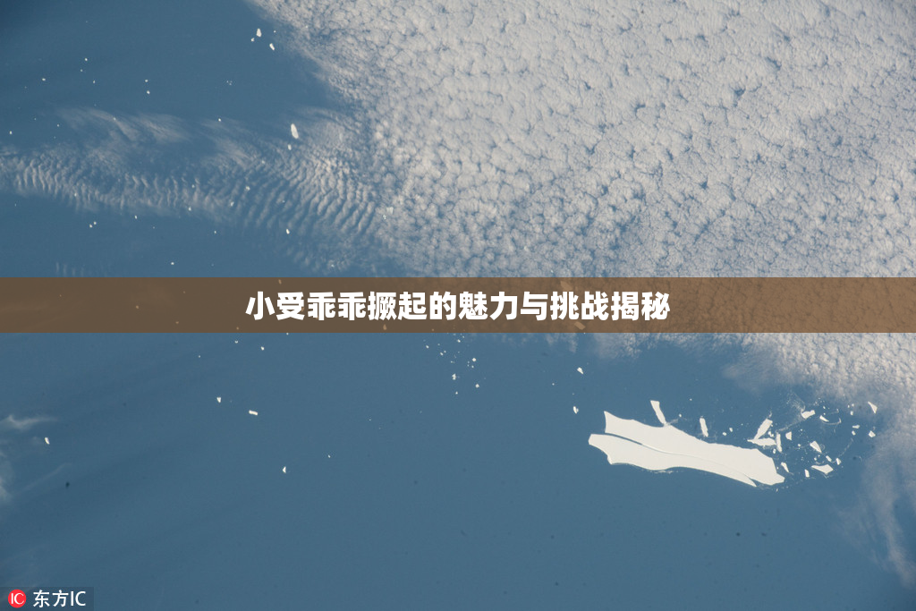 小受乖乖撅起的魅力与挑战揭秘