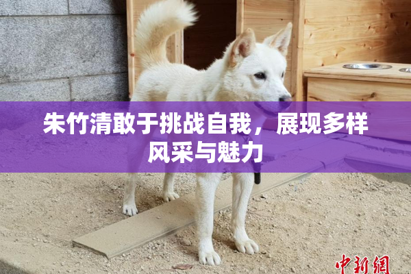 朱竹清敢于挑战自我，展现多样风采与魅力