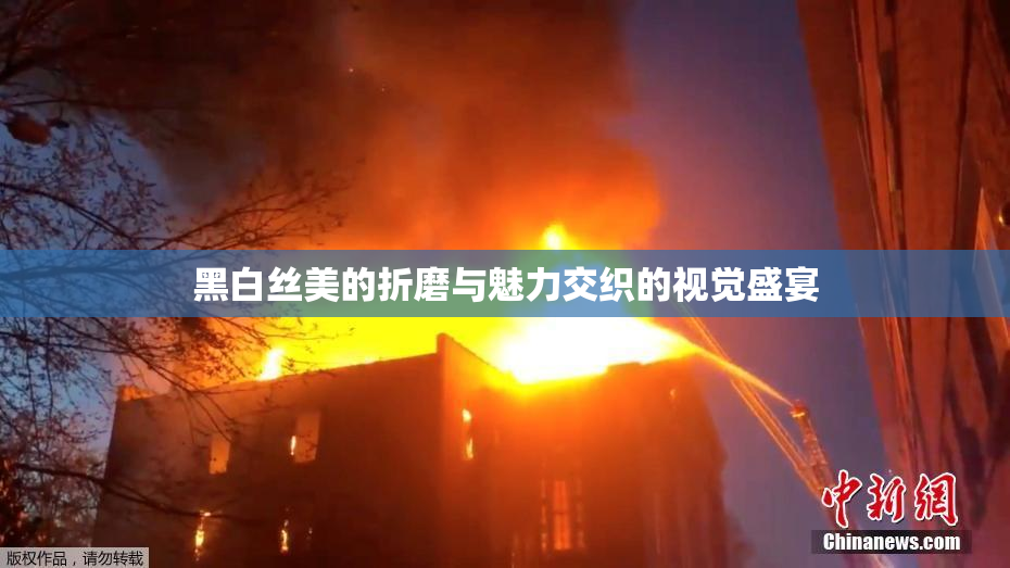 黑白丝美的折磨与魅力交织的视觉盛宴