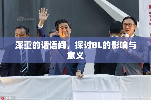 深重的话语间，探讨BL的影响与意义