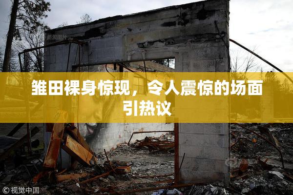 雏田裸身惊现，令人震惊的场面引热议