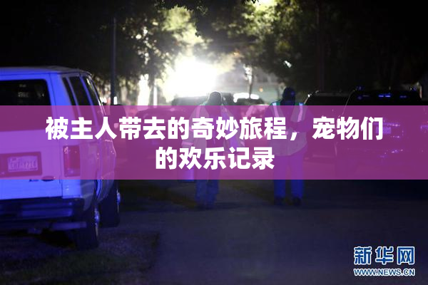 被主人带去的奇妙旅程，宠物们的欢乐记录