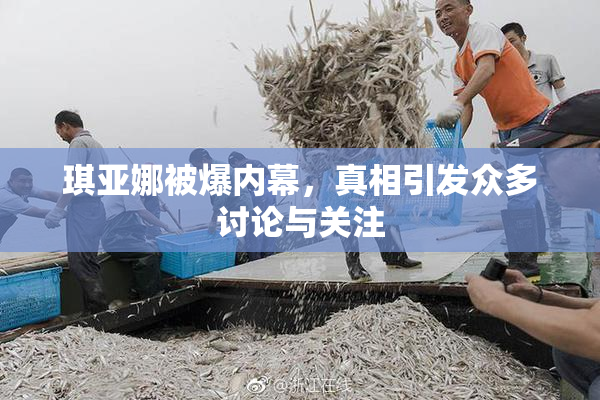 琪亚娜被爆内幕，真相引发众多讨论与关注