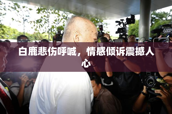 白鹿悲伤呼喊，情感倾诉震撼人心