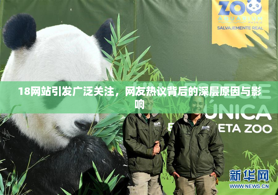 18网站引发广泛关注，网友热议背后的深层原因与影响