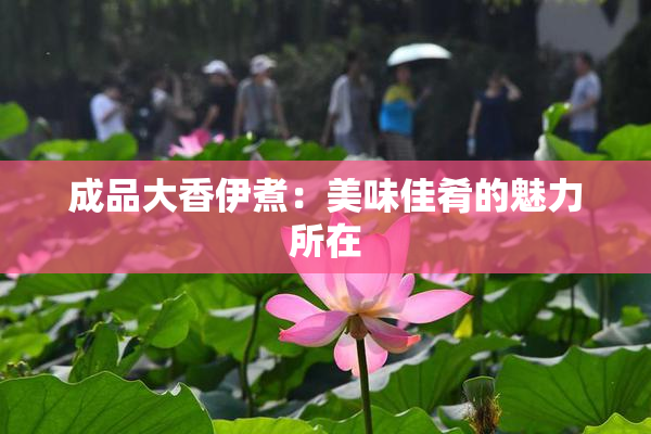 成品大香伊煮：美味佳肴的魅力所在