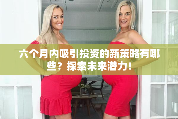 六个月内吸引投资的新策略有哪些？探索未来潜力！