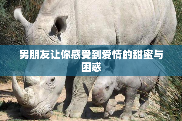 男朋友让你感受到爱情的甜蜜与困惑