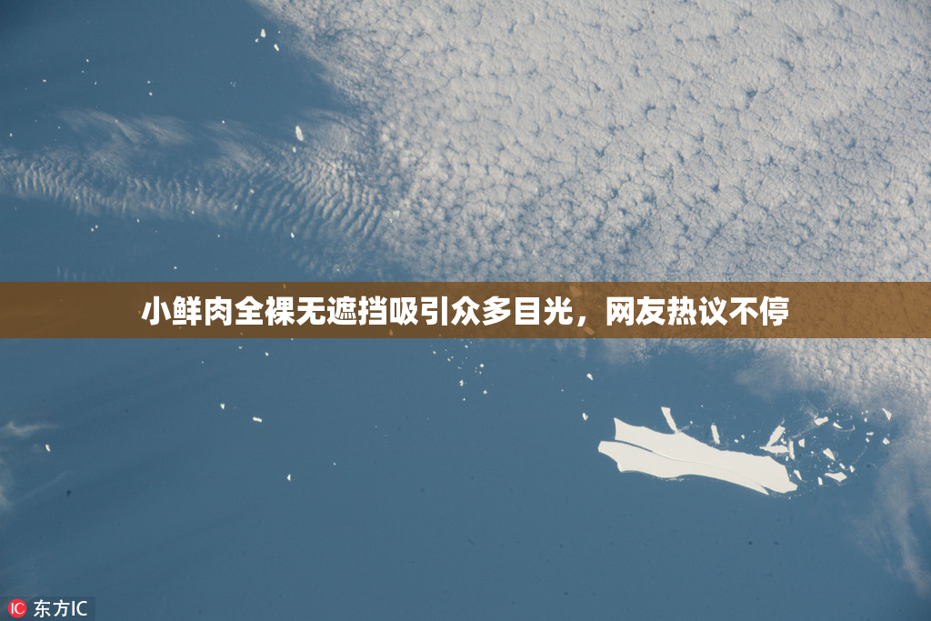 小鲜肉全裸无遮挡吸引众多目光，网友热议不停