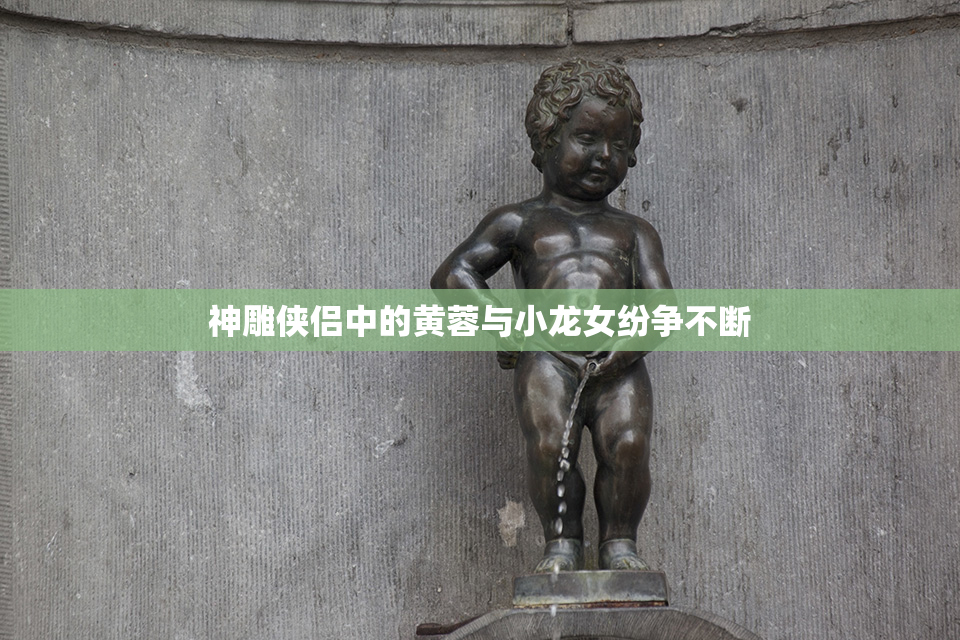 神雕侠侣中的黄蓉与小龙女纷争不断