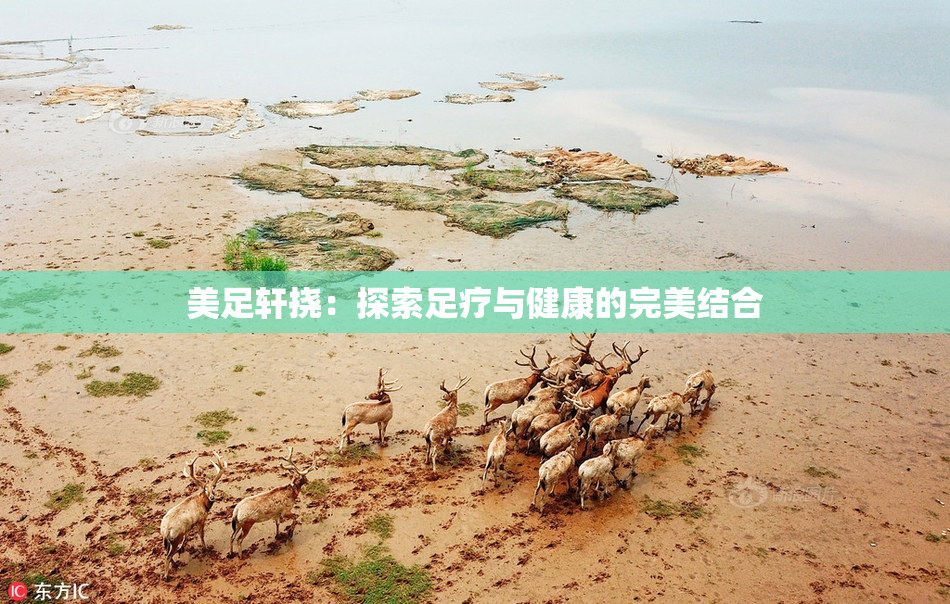 美足轩挠：探索足疗与健康的完美结合