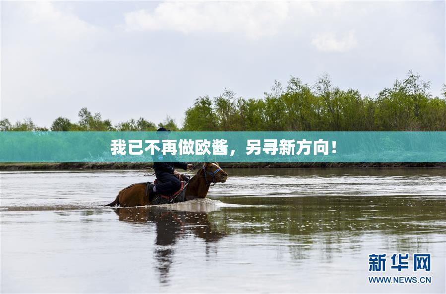 我已不再做欧酱，另寻新方向！