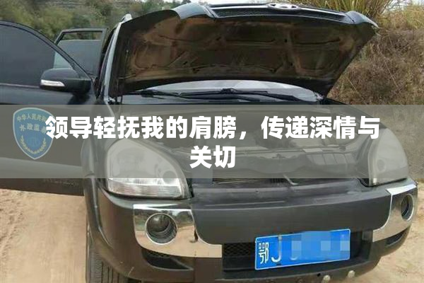 领导轻抚我的肩膀，传递深情与关切