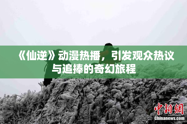 《仙逆》动漫热播，引发观众热议与追捧的奇幻旅程