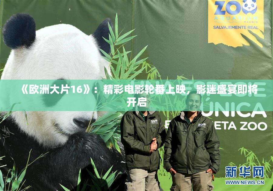 《欧洲大片16》：精彩电影轮番上映，影迷盛宴即将开启