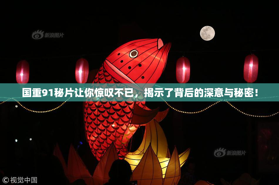 国重91秘片让你惊叹不已，揭示了背后的深意与秘密！