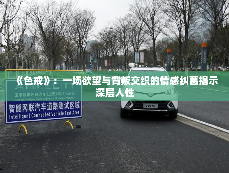 《色戒》：一场欲望与背叛交织的情感纠葛揭示深层人性