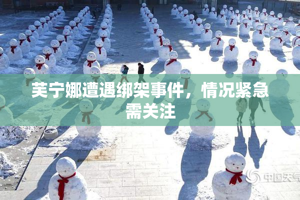 芙宁娜遭遇绑架事件，情况紧急需关注