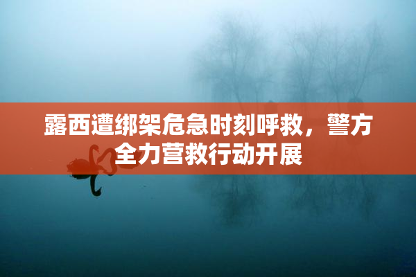 露西遭绑架危急时刻呼救，警方全力营救行动开展