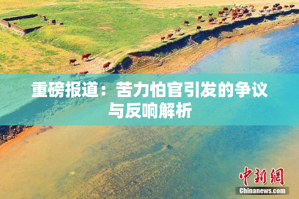 重磅报道：苦力怕官引发的争议与反响解析
