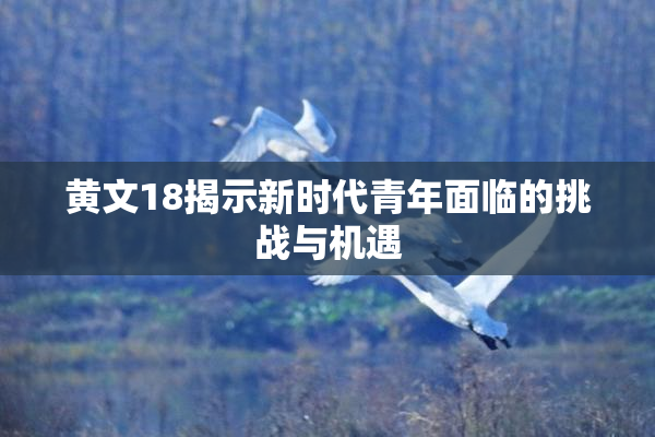 黄文18揭示新时代青年面临的挑战与机遇