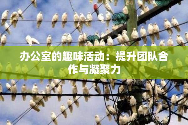 办公室的趣味活动：提升团队合作与凝聚力