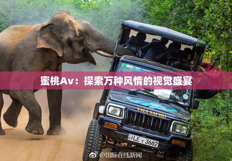 蜜桃Av：探索万种风情的视觉盛宴