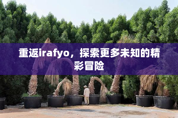 重返irafyo，探索更多未知的精彩冒险
