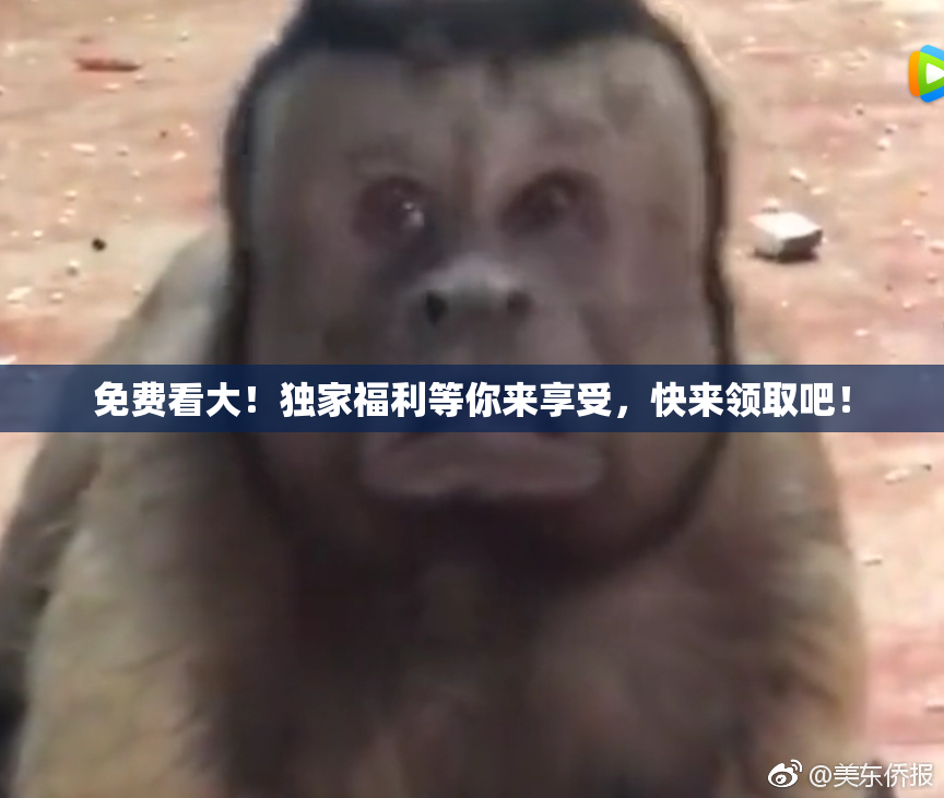 免费看大！独家福利等你来享受，快来领取吧！