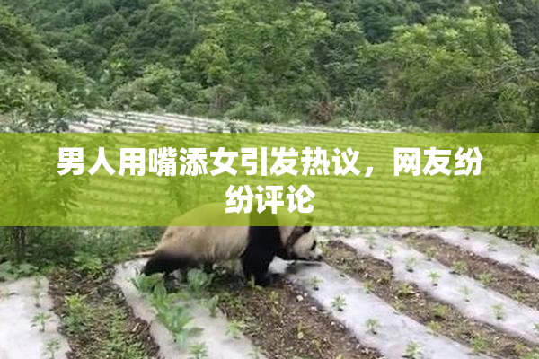 男人用嘴添女引发热议，网友纷纷评论