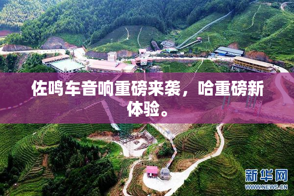 佐鸣车音响重磅来袭，哈重磅新体验。