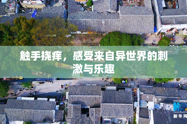 触手挠痒，感受来自异世界的刺激与乐趣