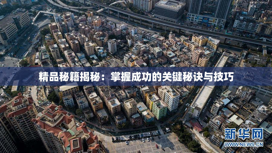 精品秘籍揭秘：掌握成功的关键秘诀与技巧