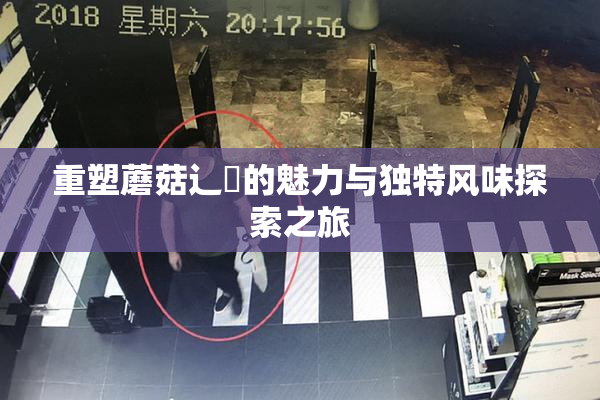 重塑蘑菇辶喿的魅力与独特风味探索之旅