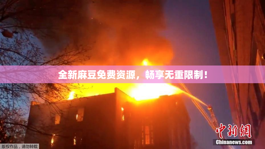 全新麻豆免费资源，畅享无重限制！