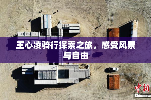 王心凌骑行探索之旅，感受风景与自由