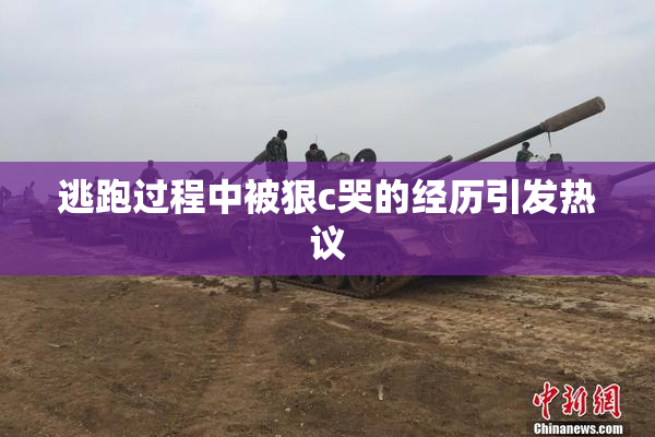 逃跑过程中被狠c哭的经历引发热议