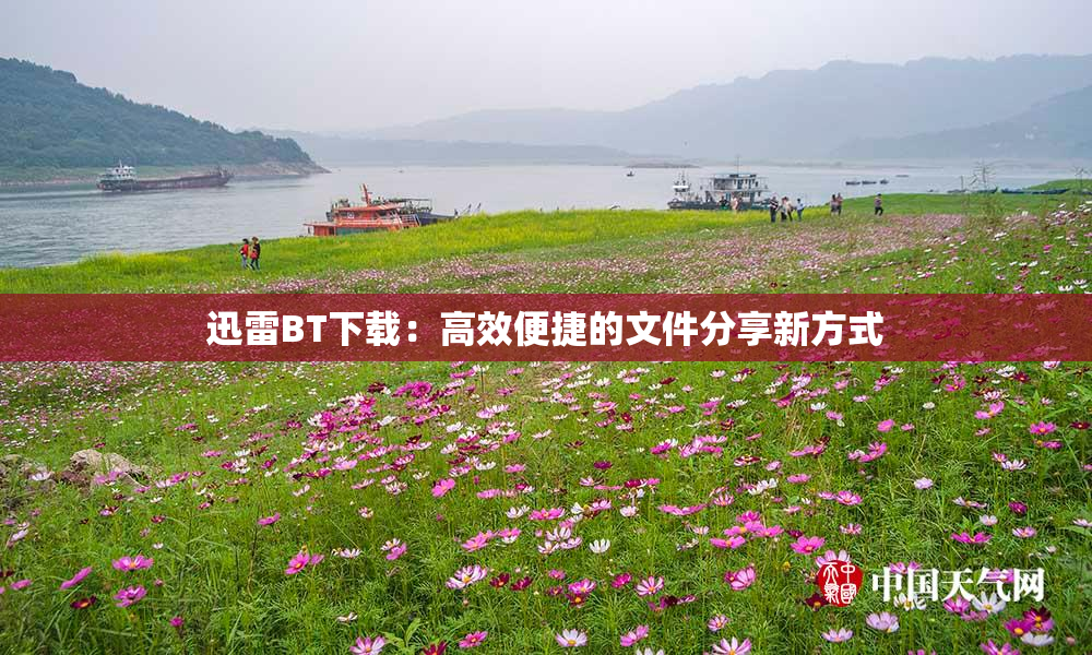 迅雷BT下载：高效便捷的文件分享新方式