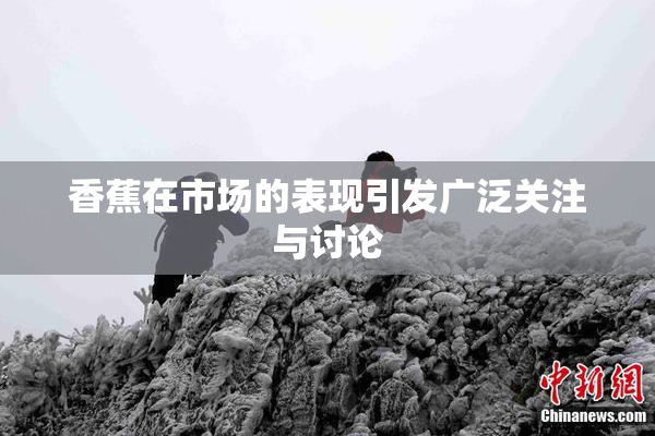 香蕉在市场的表现引发广泛关注与讨论
