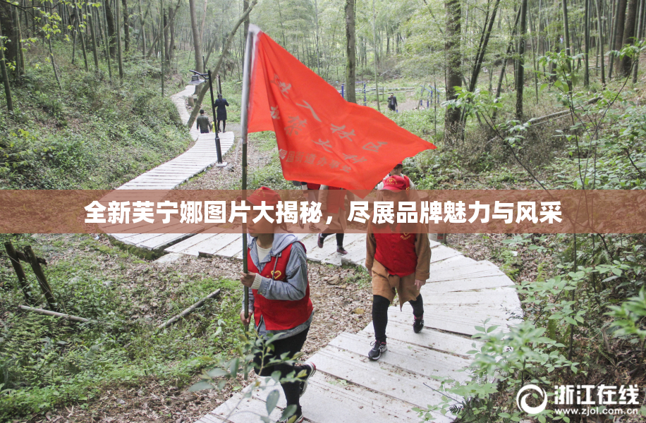 全新芙宁娜图片大揭秘，尽展品牌魅力与风采