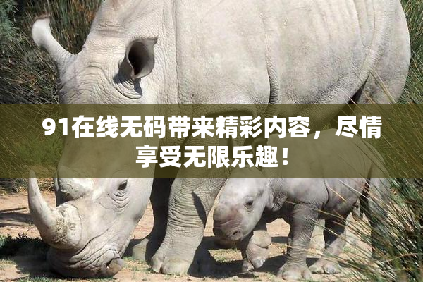 91在线无码带来精彩内容，尽情享受无限乐趣！