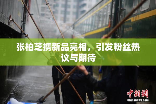 张柏芝携新品亮相，引发粉丝热议与期待