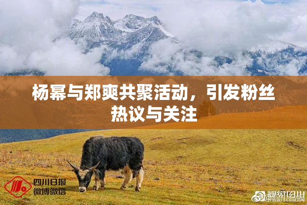 杨幂与郑爽共聚活动，引发粉丝热议与关注