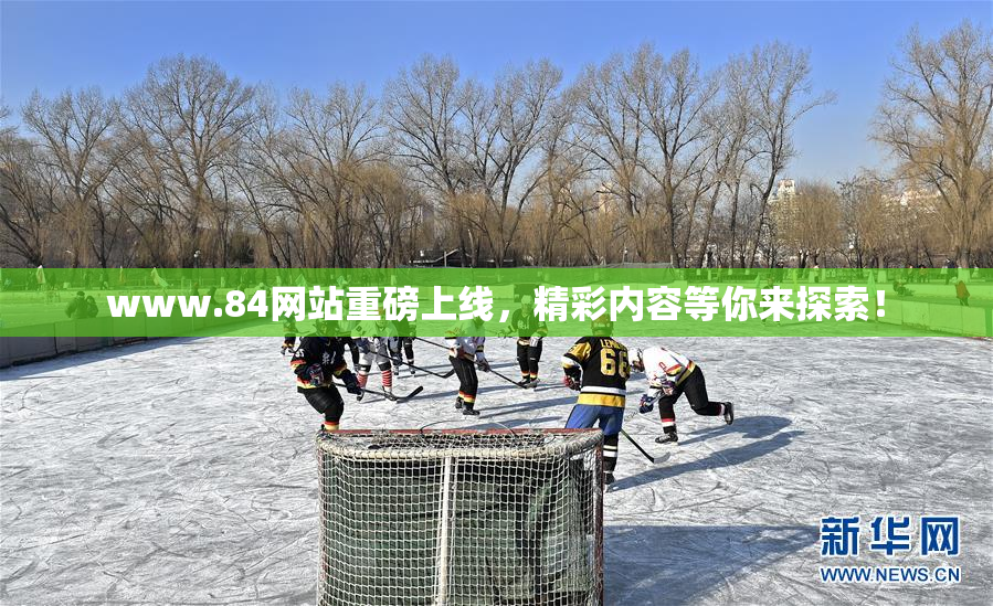 www.84网站重磅上线，精彩内容等你来探索！
