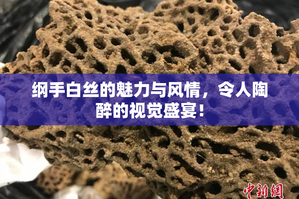 纲手白丝的魅力与风情，令人陶醉的视觉盛宴！