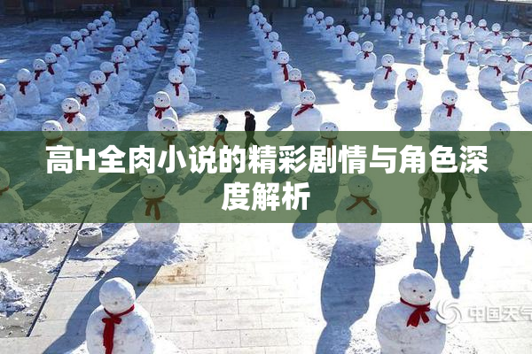 高H全肉小说的精彩剧情与角色深度解析