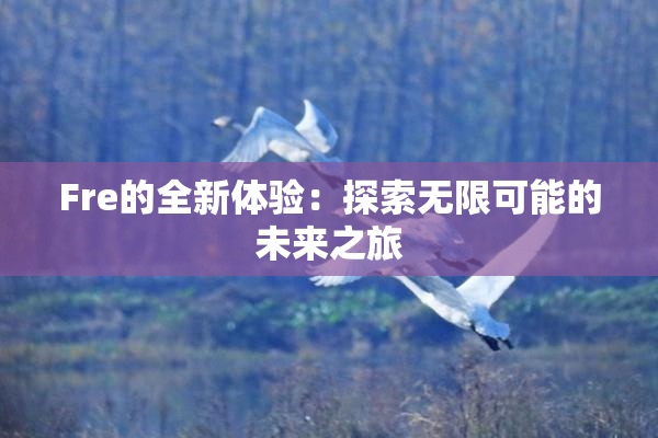 Fre的全新体验：探索无限可能的未来之旅